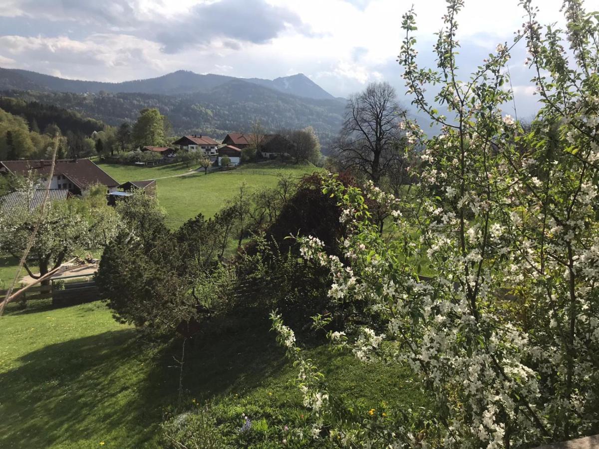 Entspannen Mit Bergpanorama Siegsdorf Exteriör bild